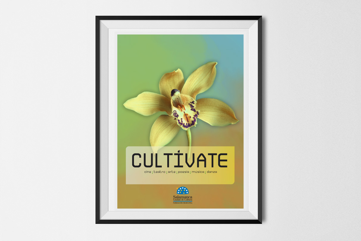 Campaña de creatividad y claim para difundir la cultura. 